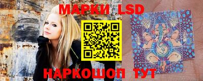 сатива Балаково