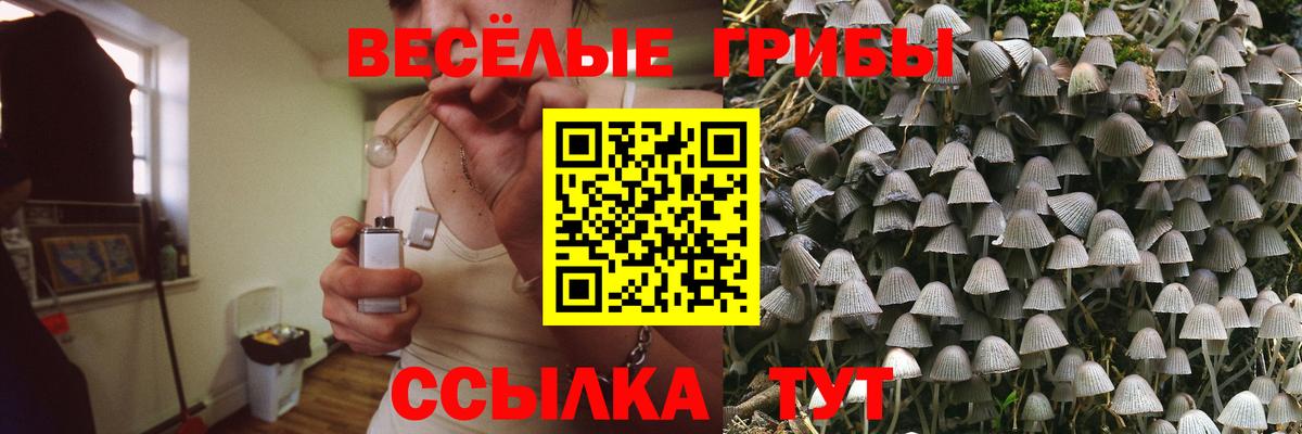 Галлюциногенные грибы Psilocybine cubensis Аргун