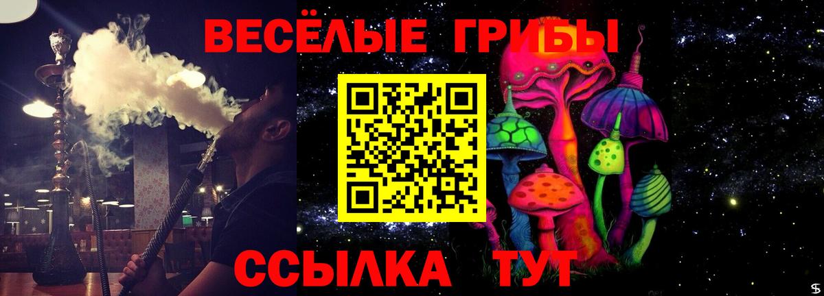 Аргун  Галлюциногенные грибы Cubensis  Вход с VPN  Псилоцибиновые грибы Psilocybine cubensis 